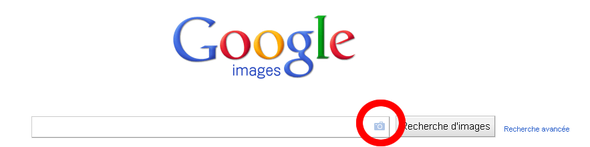 Google Images vu avec Chrome